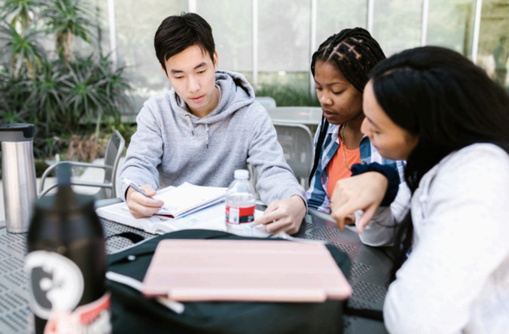 students studying together